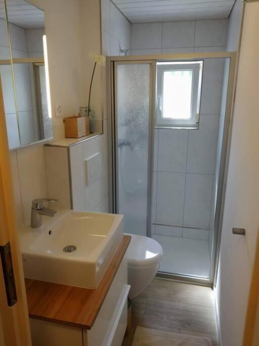 Bijou 1 Huebsche 1 Apartment Herisau
